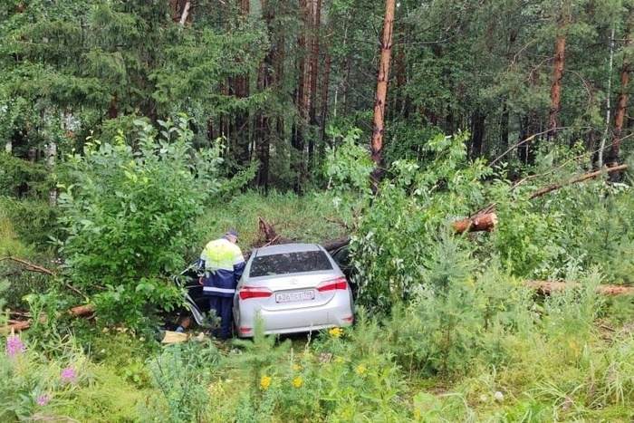 V toyota corolla na serovskom trakte pogibli top menedzhery vsmpo avisma 9ad3cbc.jpg