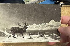 Otkrytku s zagadochnym poslaniem iz proshlogo dostavili cherez 121 god 76a464f.jpg