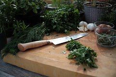 Rossijanam perechislili glavnye istochniki bakterij na kuhne d15f68d.jpg