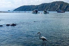 Rossijanam raskryli stoimost gorjashhih turov v populjarnye pljazhnye strany v avguste eea6f1c.jpg