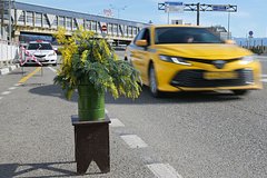 Taksist iz sochi objasnil prichinu nenavisti mestnyh zhitelej k turistam 7cee0de.jpg