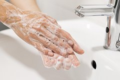 Vrach prizval vsegda myt ruki posle tualeta radi zashhity ot opasnogo parazita 2f52e41.jpg