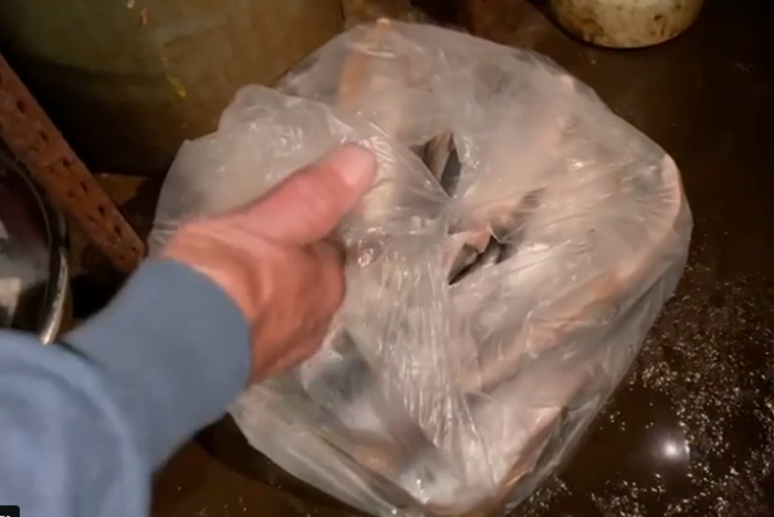 Film uzhasov podpolnyj rybnyj ceh vyjavili v ekaterinburge na zhbi video 460f24d.jpg