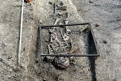 Ostanki rebenka vampira bez golovy nashli v sadu 1479071.jpg