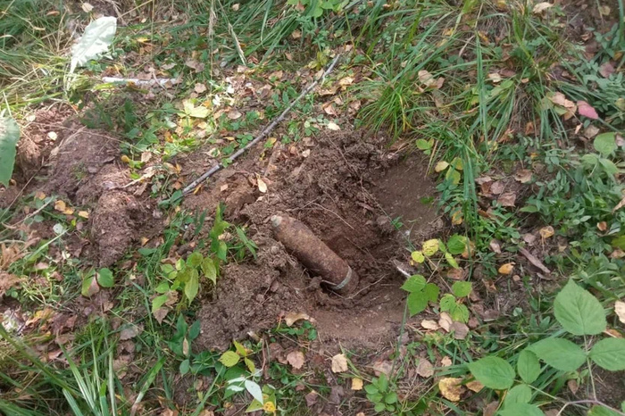 Sapery unichtozhili najdennyj gribnikami na urale artillerijskij snarjad 3bac854.jpg