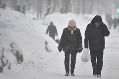 Sinoptik predupredila ob ugroze moskovskim abrikosam iz za pogody d467619.jpg