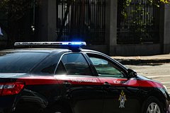 В России проверят слова обвинившего СССР в начале Второй мировой войны художника