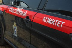Bastrykin zaprosil doklad po delu ob izbienii zhitelja peterburga migrantami d0efbe1.jpg