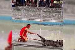 Krokodil napal na dressirovshhika na glazah u desjatkov zritelej dd87af3.jpg