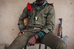 Mali poblagodarila rossiju za operativnye postavki vooruzhenij 26a46d7.jpg