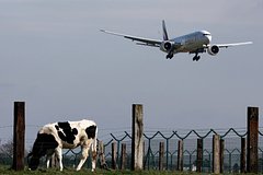 Odna iz luchshih aviakompanij mira prodlila ogranichenija na polety nad blizhnim vostokom f24b089.jpg