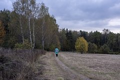 Rossijan predupredili ob opasnyh osennih allergijah ff69a88.jpg