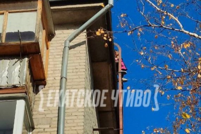 V ekaterinburge devochka podrostok zabralas na kryshu pjatietazhki iz za travli 3efd2a5.jpg