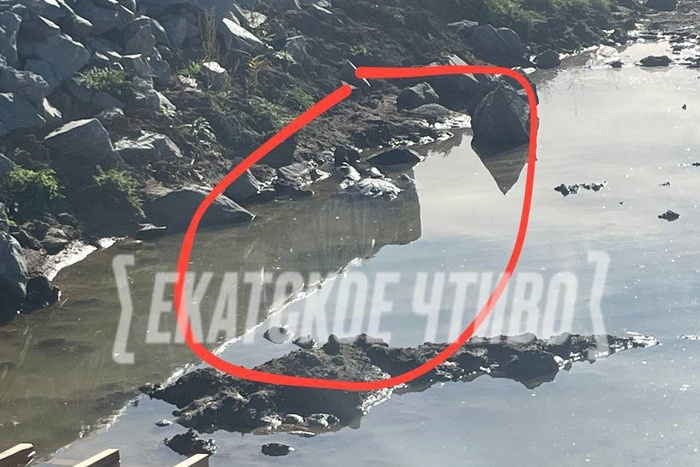 V luzhe na jugo zapade nashli trup 30e8ac8.jpg