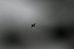 Vsu atakovali dronami grazhdanskie predprijatija v voronezhskoj oblasti efa637a.jpg